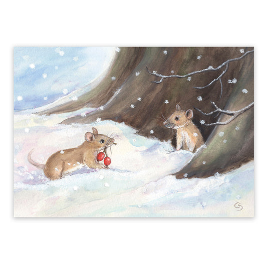 Mäusewinter  Art. PKWI17