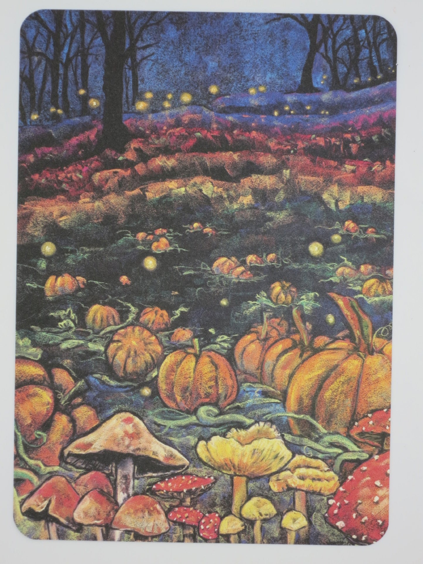 Kürbisfeld- Postkarte - Art.Nr.PKHE58