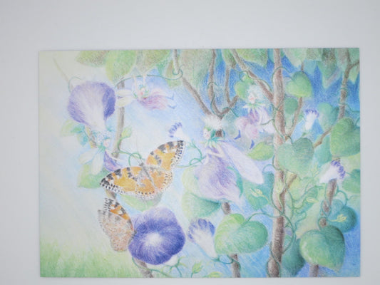 Blütezeit - Postkarte - Waldorf - Art.Nr.PKFR96