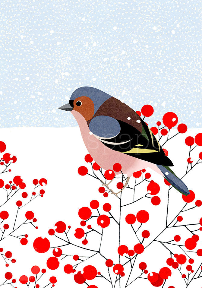 Postkarte Buchfink im Schnee von Xenia Schmidt, Buchfink auf Beerenzweig vor Schneehimmel