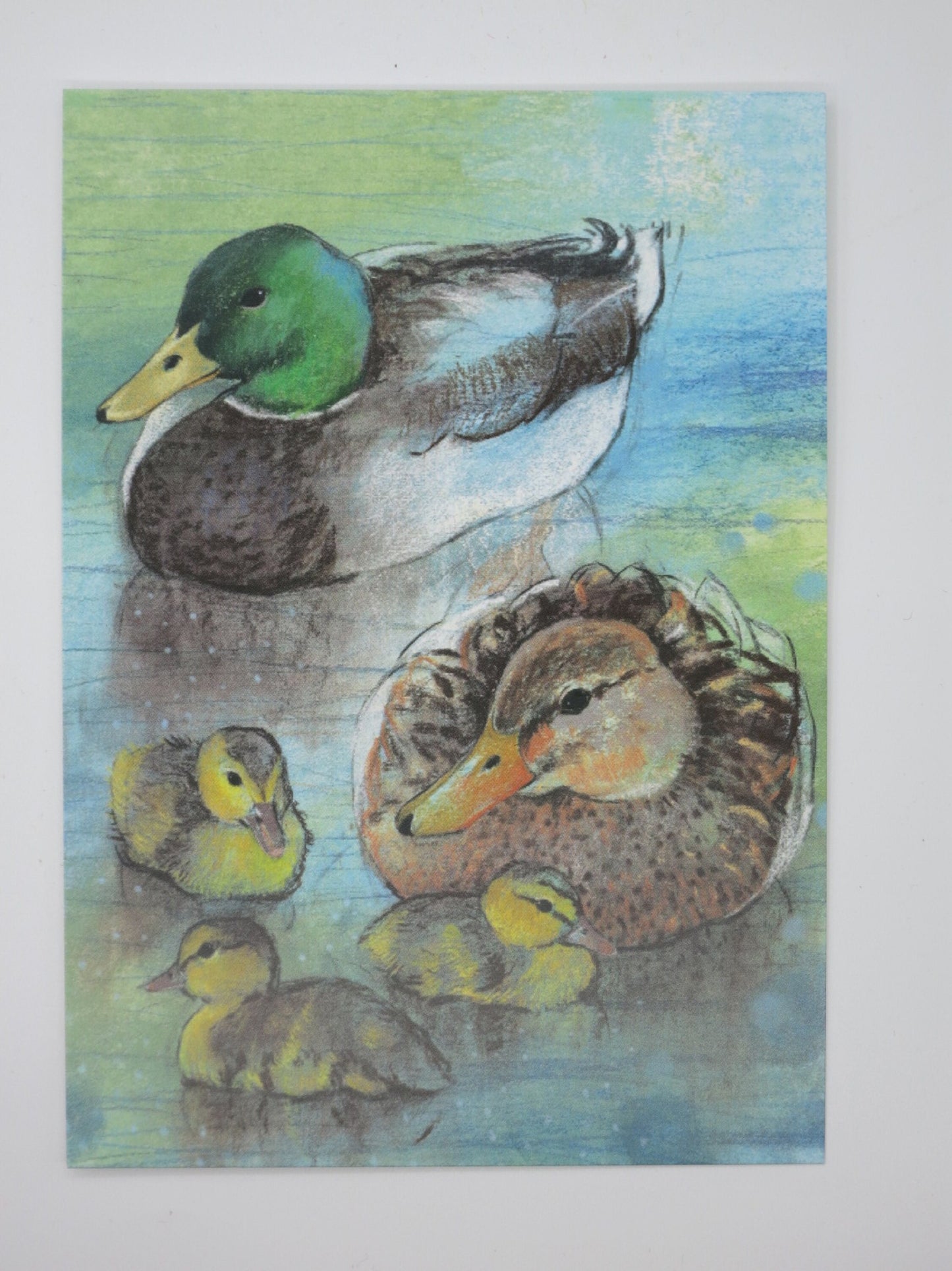 Entenfamilie - Art.Nr.PKSO141