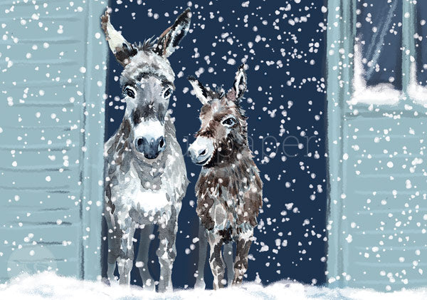 Postkarte Esel im winterlichen Stall von Bettina Beuttenmueller, zwei Esel blicken in Schneefall