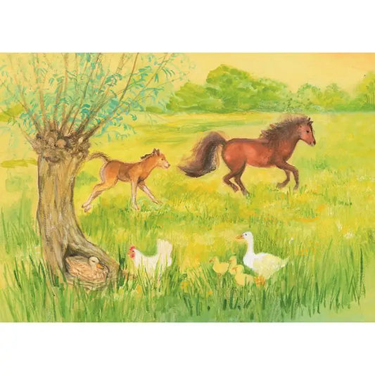 Fohlen in der Wiese - Postkarte - Waldorf  Art.Nr PKSO156