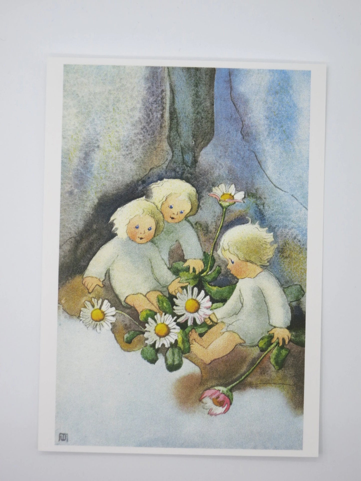 Gänseblümchen - Postkarte - Waldorf Art.Nr.PKFR130