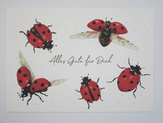 Alles Gute für Dich - Art.Nr. PKGR24