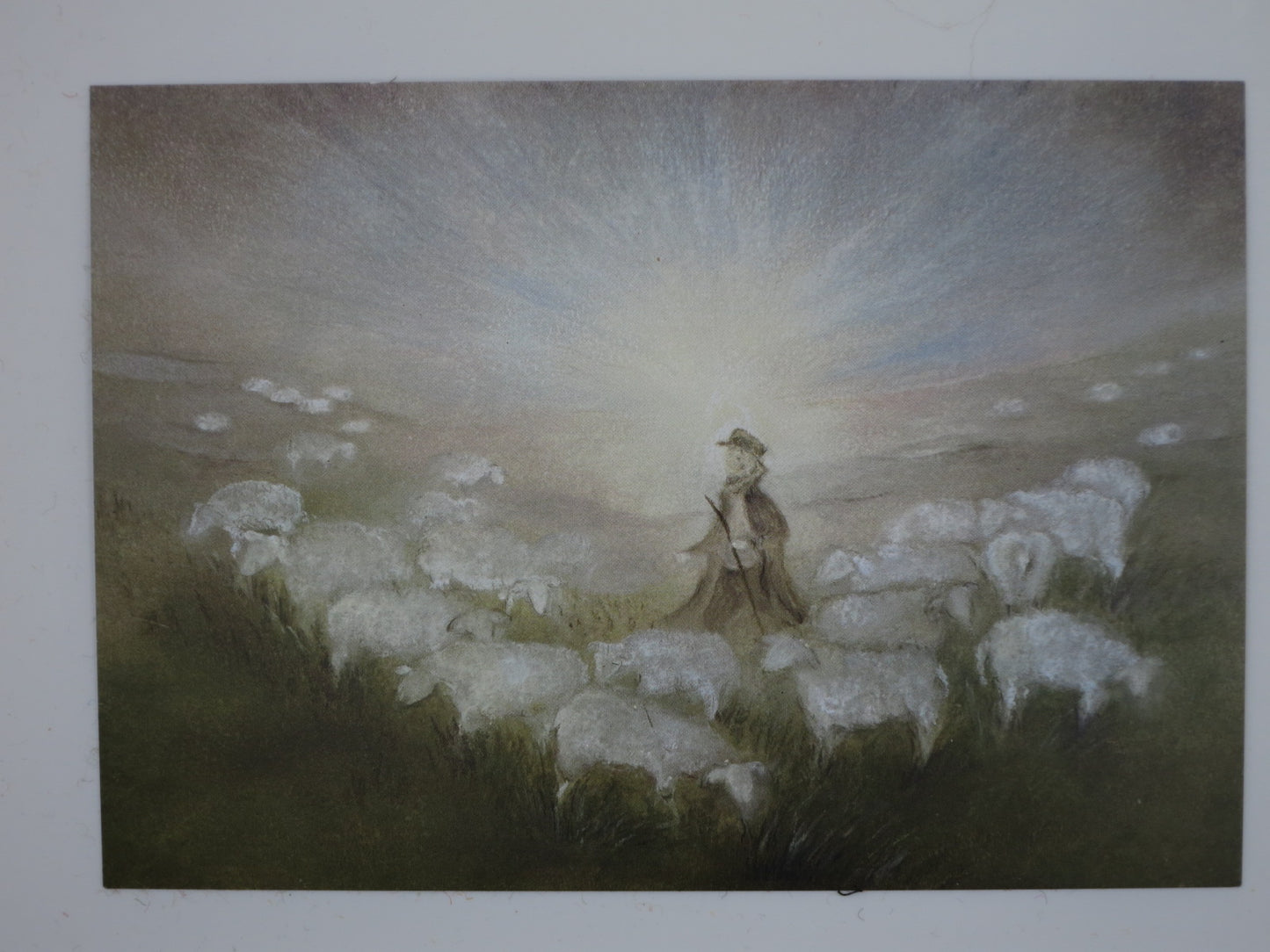 Postkarte Hirtennacht von Baukje Exler – Hirte mit Schafherde im strahlenden Licht, PKWI230