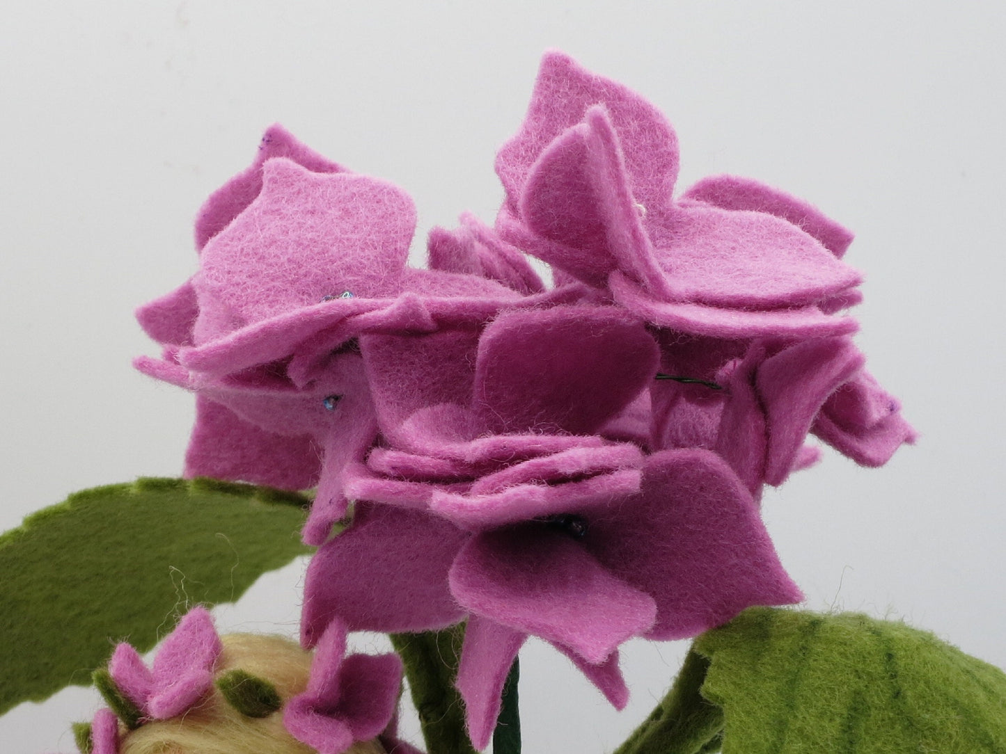 Hortensie - Blumenkind -Jahreszeitentisch - Art. SO48