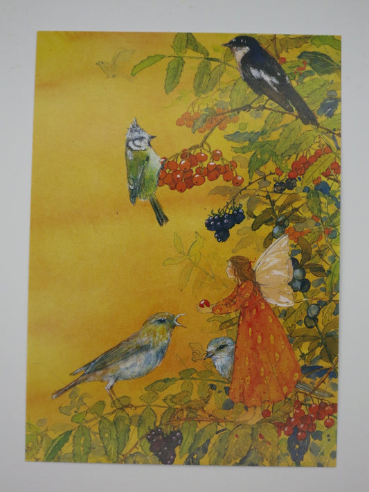 Elfe und Vögel - Jahreszeitentisch - Postkarte - Waldorf