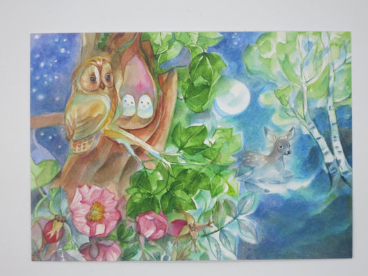 Sommernachtstraum Art.Nr.PKSO28