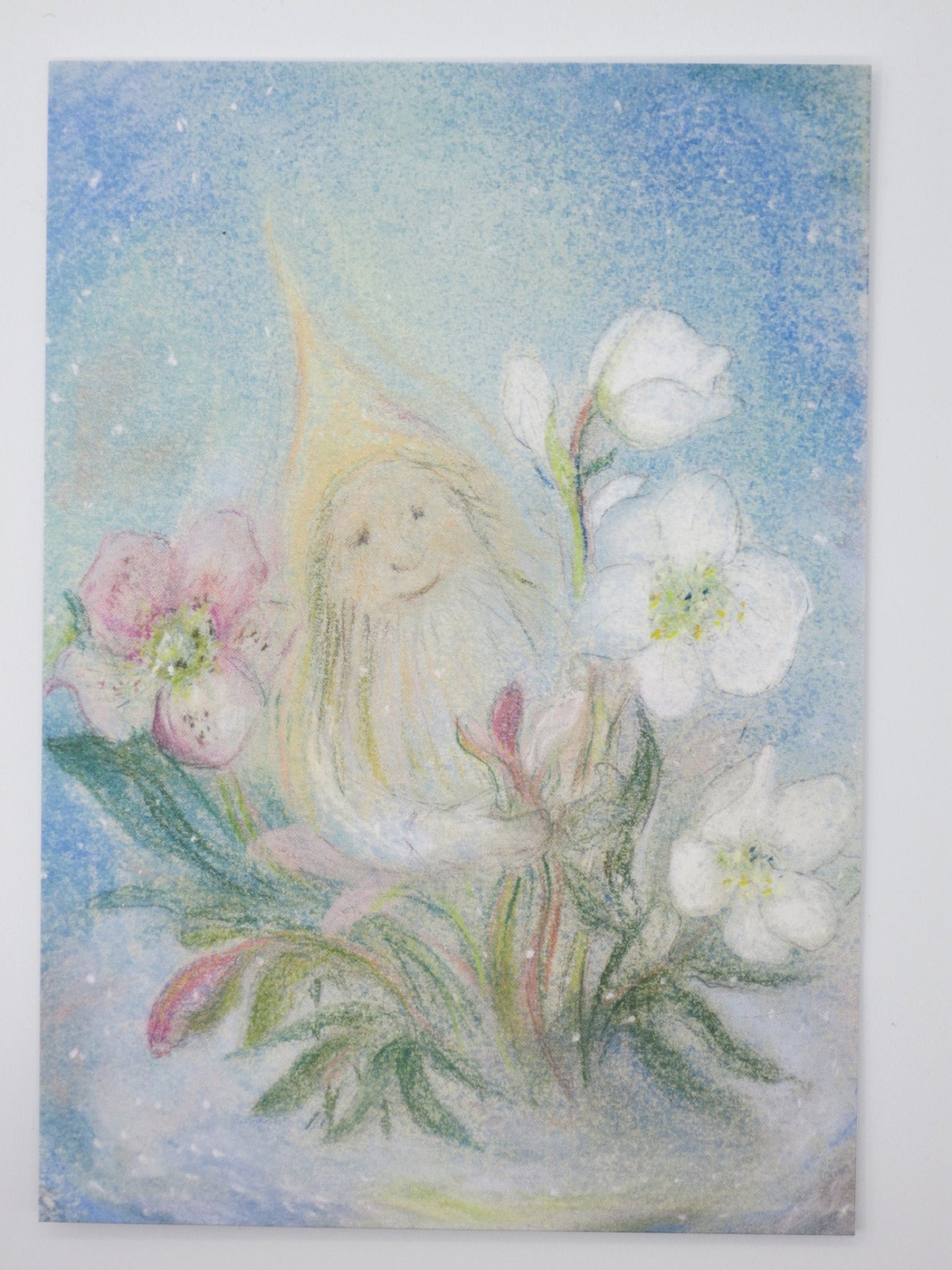 Zwerg mit Christrose - Postkarte - Waldorf Art.Nr PKWI113