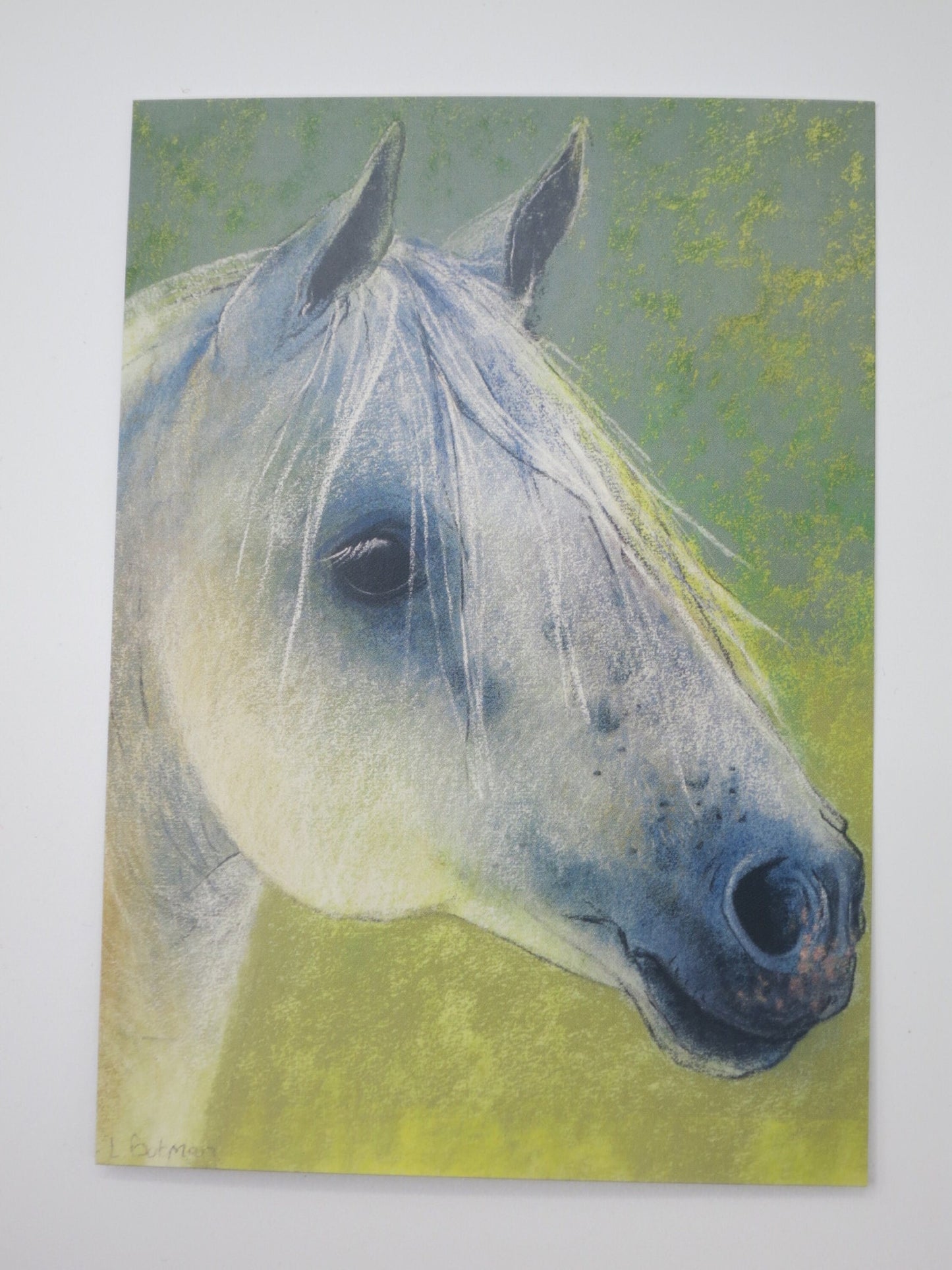 Pferdekopf - Postkarte - Art PKFR152
