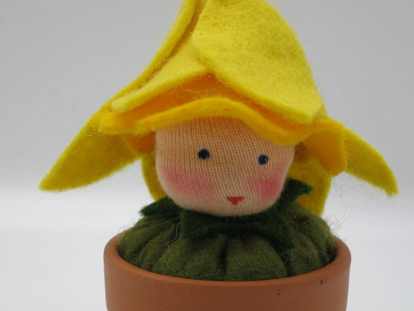 Narzisse im Topf - Blumenkind - Art. FR24