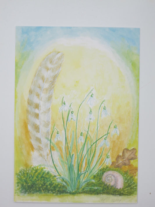 Schneeglöckchen mit Feder -  Postkarte  - Waldorf Art.Nr.PKWI106