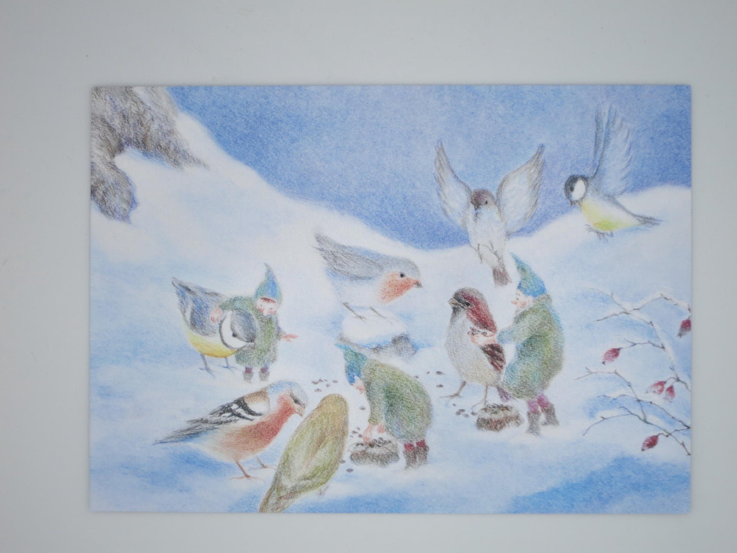 Kunst-Postkarte „Fütterung der Wintervögel“ von Monika Speck: Wichtelkinder füttern Kohlmeise, Rotkehlchen und Gimpel im Schnee, Postkarte mit Motiven