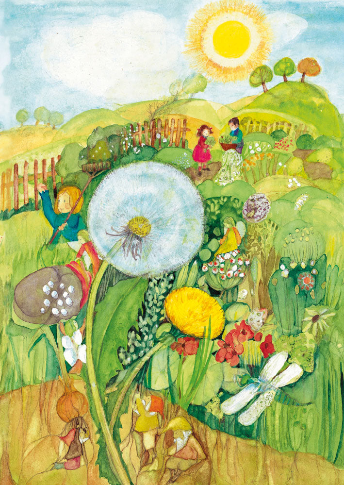 Waldorf Postkarte Löwenzahn und Pusteblume von Eva-Maria Ott-Heidmann: große Pusteblume mit Wichteln zwischen den Wurzeln