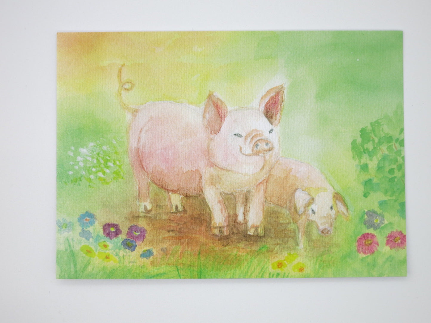 Postkarte Die lustigen Schweine von Dorothea Schmidt: Mutterschwein und Ferkel auf der Sommerwiese