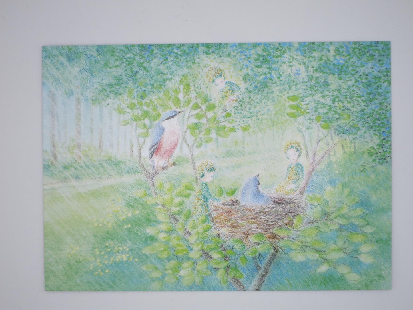 Die Nestwächter - Postkarte - Waldorf - Art.Nr.PKFR97