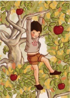 Herbstpostkarte Apfel Schaukel Junge im Apfelbaum- Illustriert von Belle & Boo