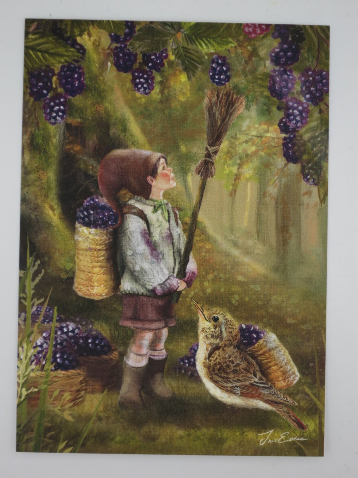 Herbst Postkarte Berry Tale PKH249: Wichteljunge mit Brombeeren und Vogel
Zeichnung von Iris Esther