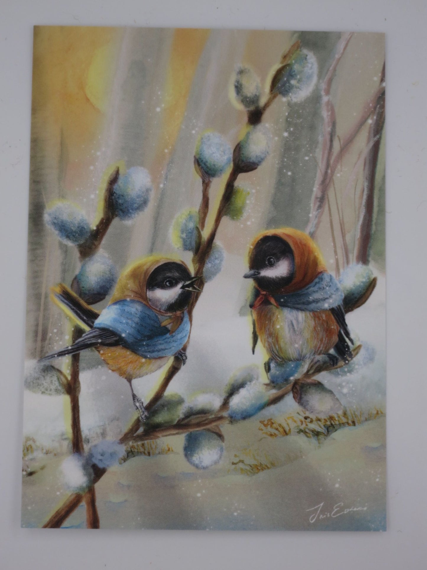 Winter Postkarte Chickadee Chats PKWI320: Meisen im Wald auf Weidenkaetzchenzweig
Zeichnung von Iris Esther