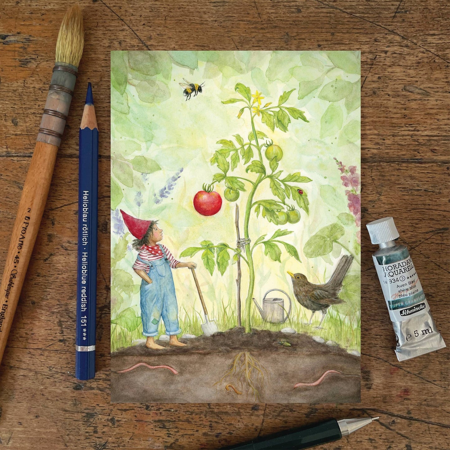 Sommer Postkarte Erste reife Tomaten PKSO334: Wichtel und Vogel betrachten reife Tomate
Zeichnung von Mhairi Hellbrandt