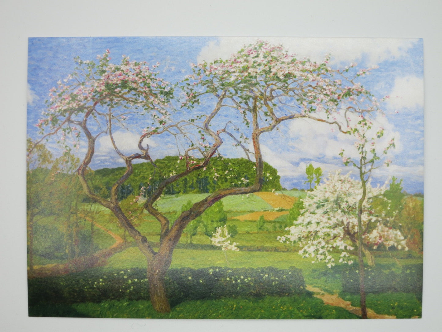 Postkarte Im Mai von Fritz Overbeck: bluehende Apfelbaeume, Worpsweder Malerkolonie