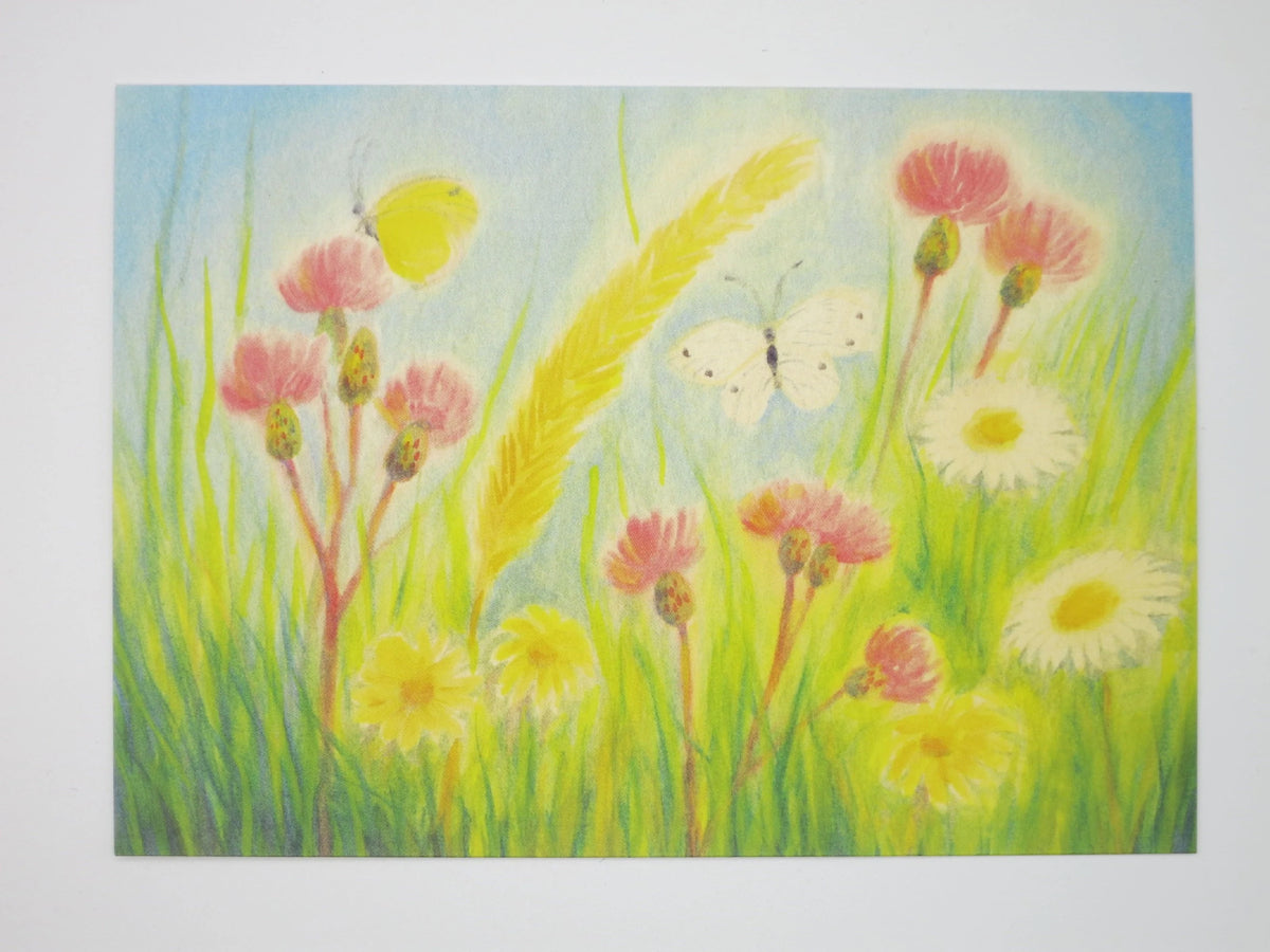 Postkarte Klee,Margeriten und Schmetterlinge, bunte Blumenwiese, Zeichnung von Erika Hoffmann
