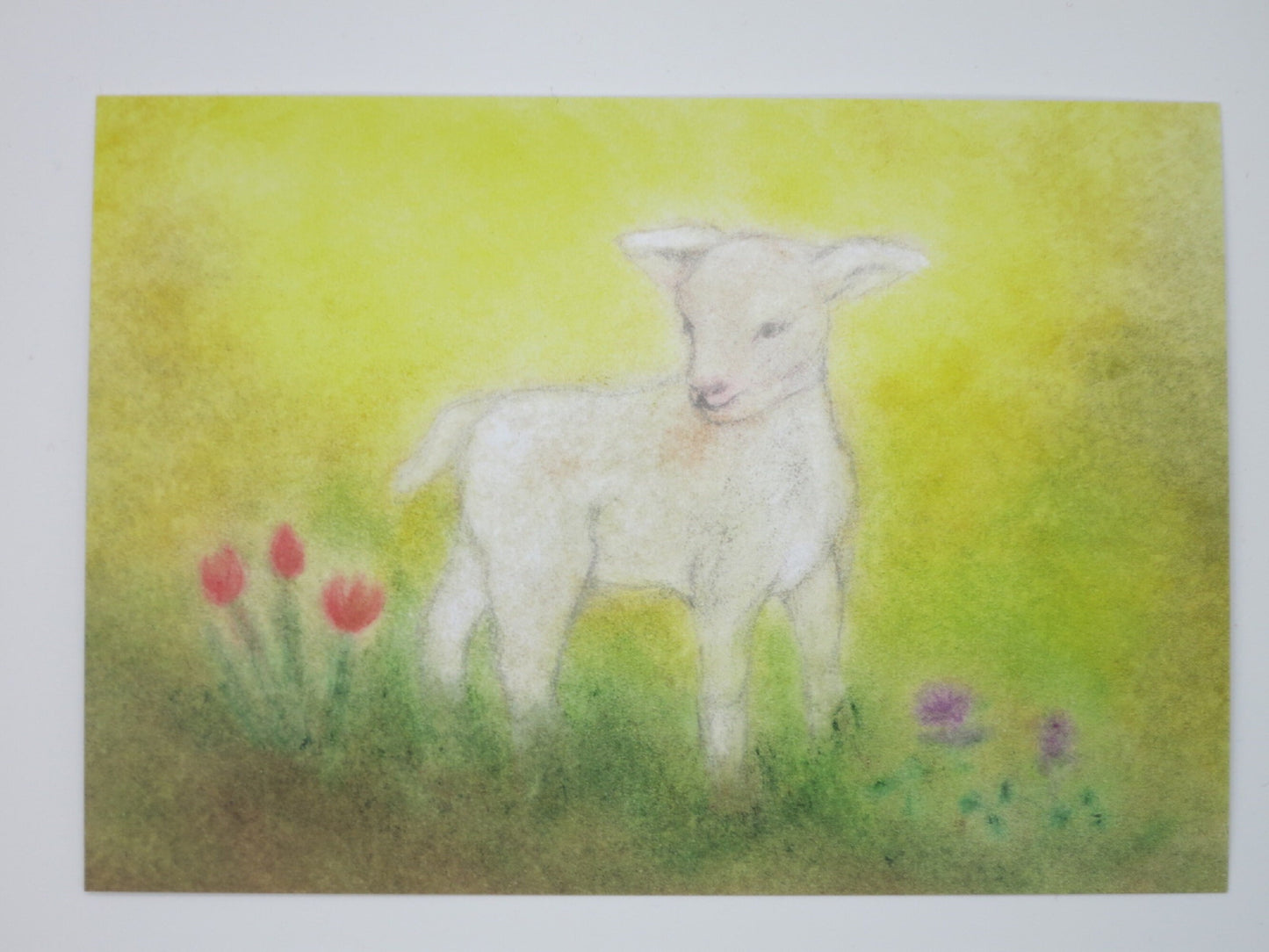 Waldorf Postkarte Laemmchen von Andrea Reiss: Laemmchen zwischen Tulpen