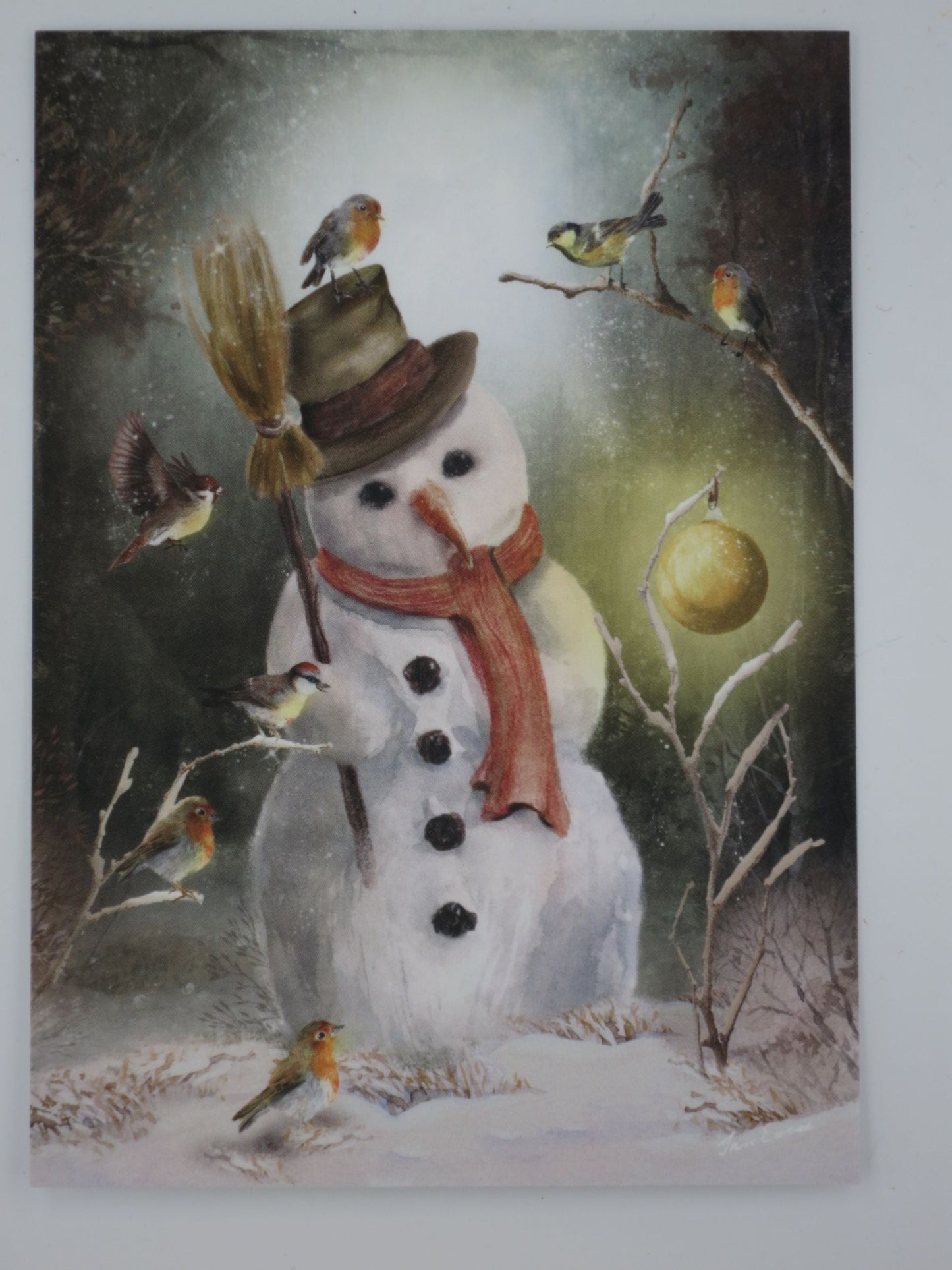 Winter Postkarte verzauberter Schneemann PKWI319: Schneemann bei Nacht mit Voegelchen und Christbaumkugel
Zeichnung von Iris Esther