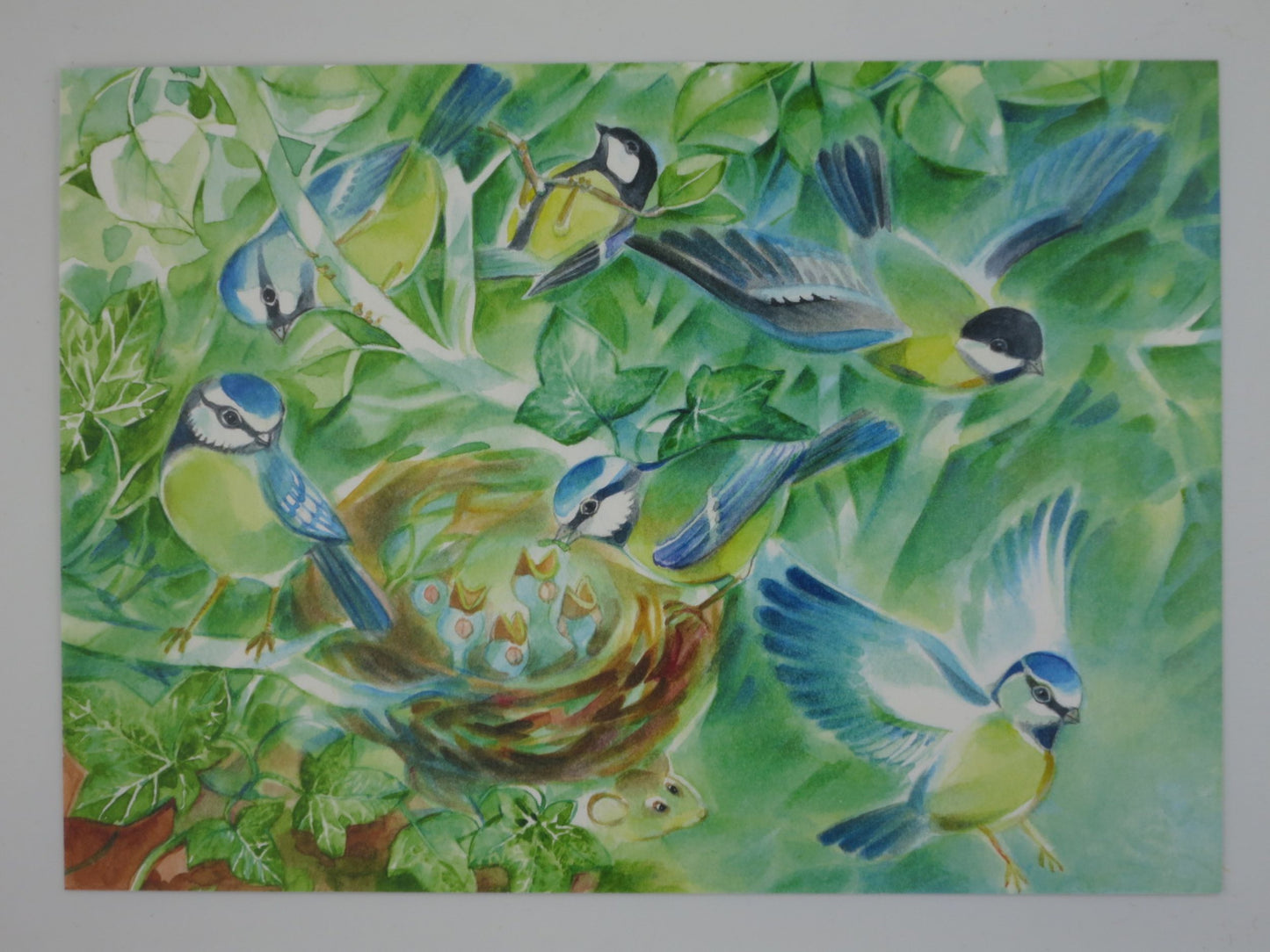 Frühling Postkarte Vogeltanz PKFR241: Meisen umschwirren ein Vogelnest
Zeichnung von Marie-Laure Viriot