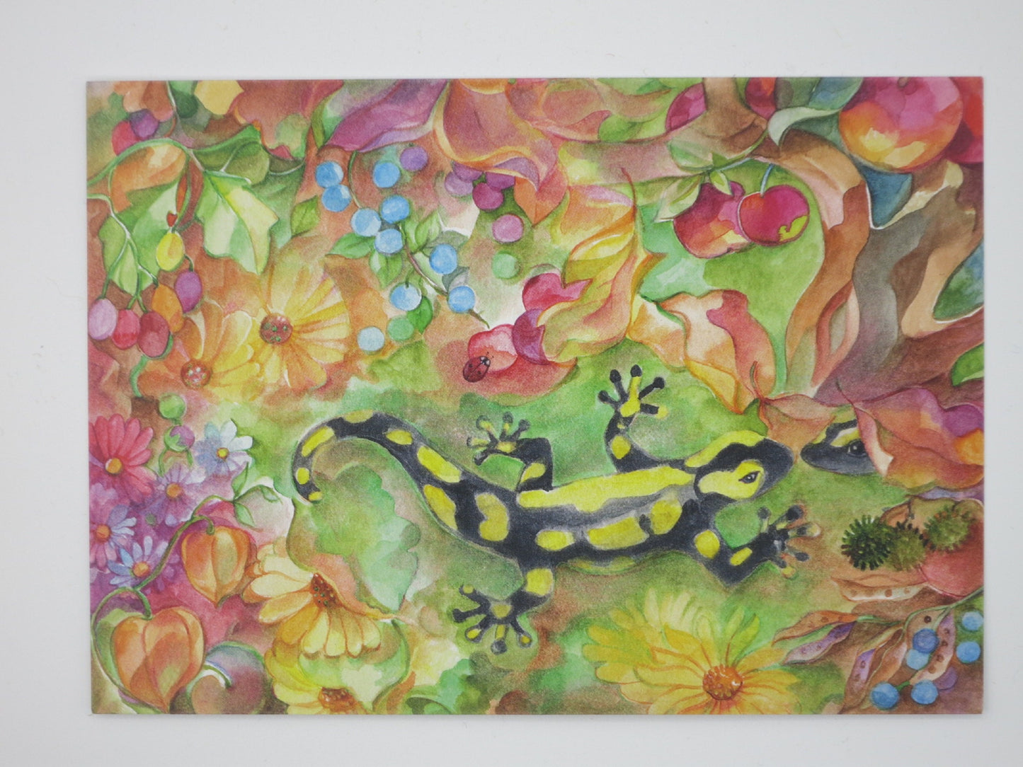 Postkarte Salamander von Marie Laure Viriot – Feuersalamander im Blumen- und Fruchtbeet