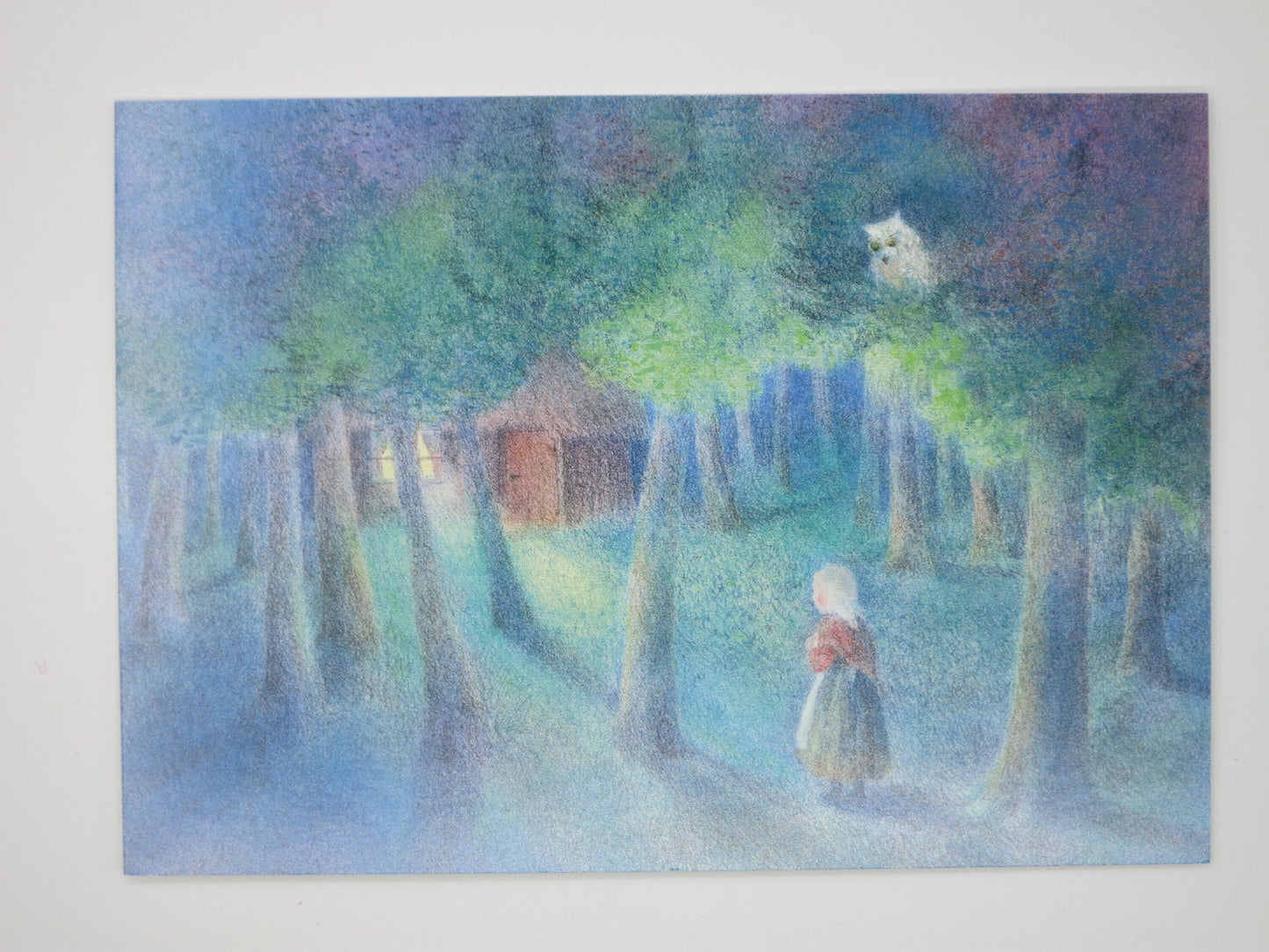 Das Waldhaus - Postkarte - Art.Nr.PKSO121