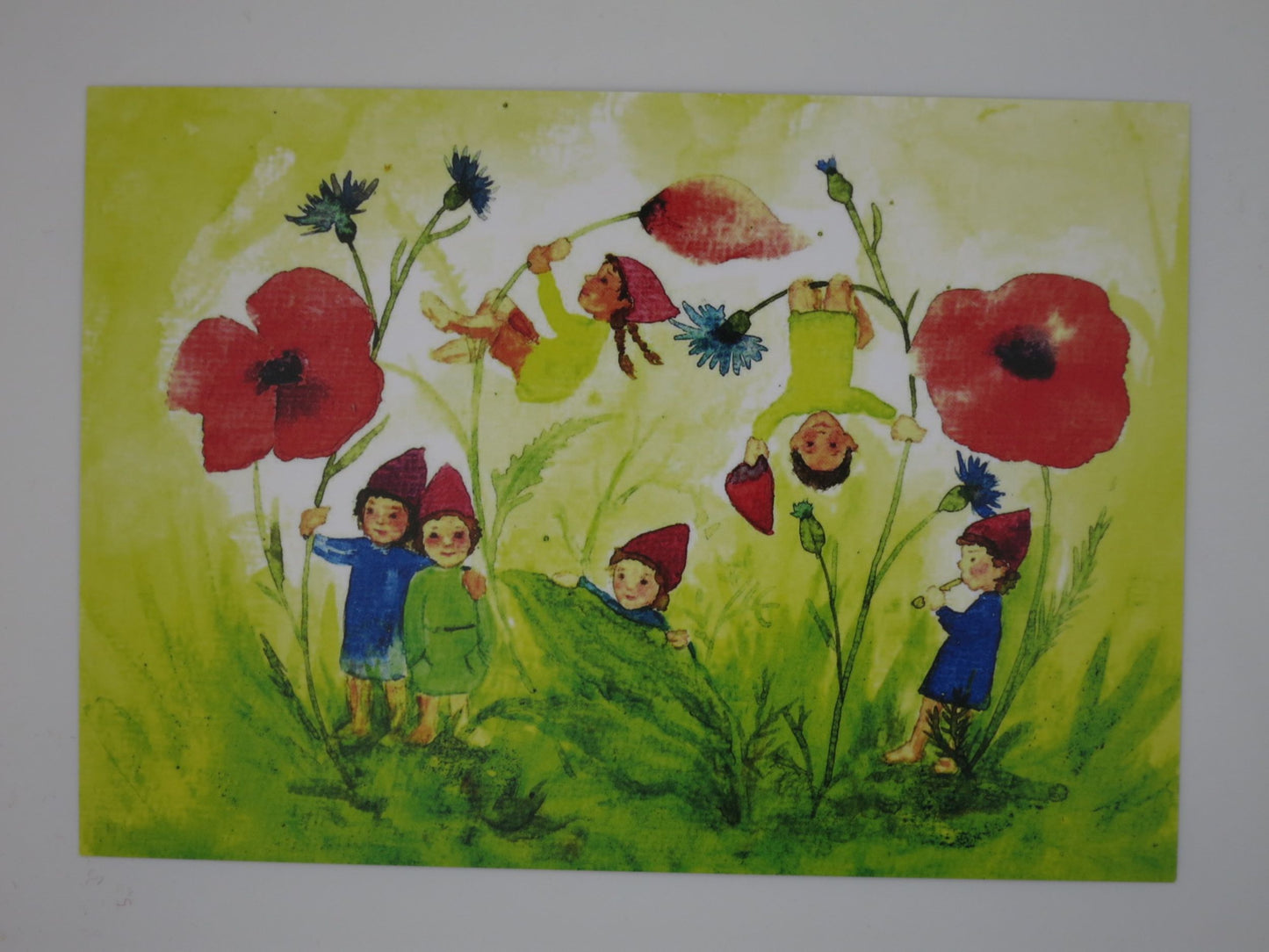 Waldorf Postkarte Wichtel auf der Blumenwiese von Anna Hunold: fünf Wichtel zwischen Klatschmohn und Kornblumen