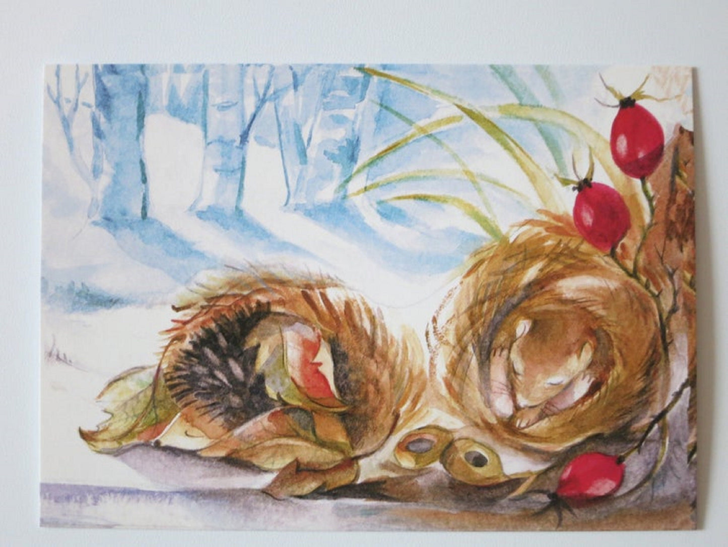 Winterschlaf Postkarte mit zwei schlafenden Igeln, Marie Laure Viriot, Waldorf Jahreszeitentisch