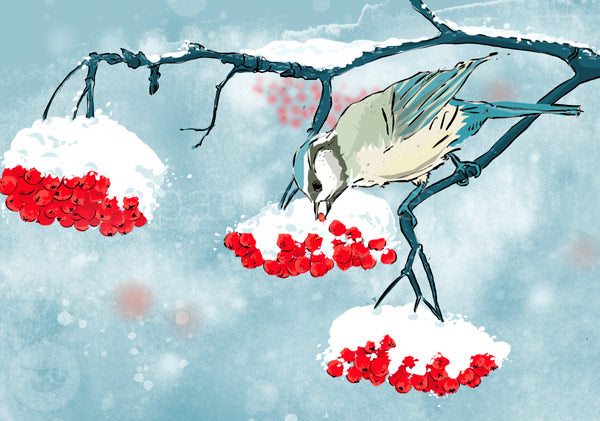 Winterschmaus Postkarte für Kinder – Vogel pickt rote Beeren im Schnee, Antje Therés Kral, Jahreszeitentisch