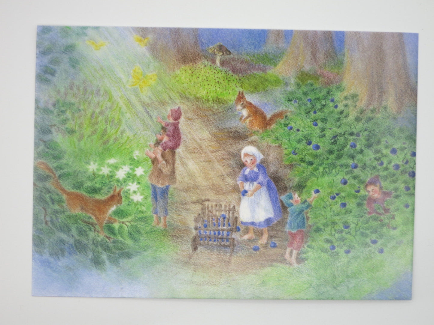 Waldorf Postkarte Zwergenfamilie im Wald von Monika Speck beim Heidelbeersammeln mit Eichhörnchen