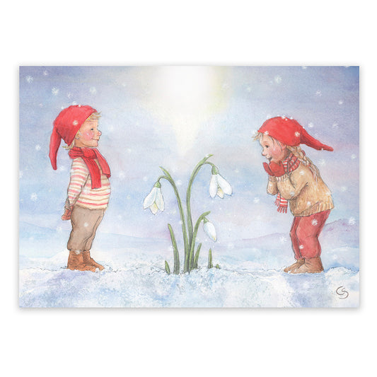 Schneeglöckchen Art.PKFR20