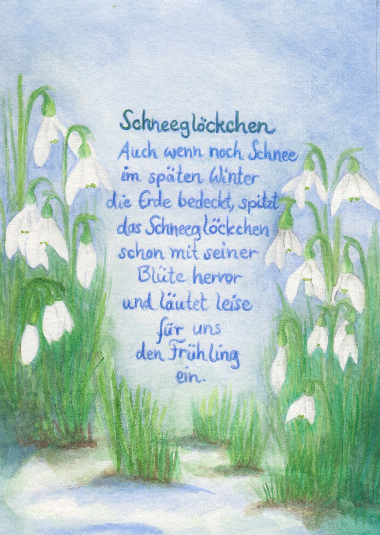 Wildblumen PostkartenSet BilderSchublade - 6 Postkarten Art.PKS32