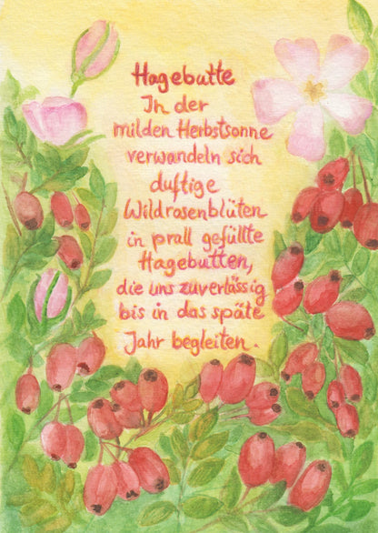Wildblumen PostkartenSet BilderSchublade - 6 Postkarten Art.PKS32