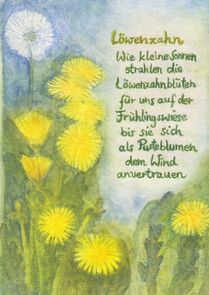 Wildblumen PostkartenSet BilderSchublade - 6 Postkarten Art.PKS32