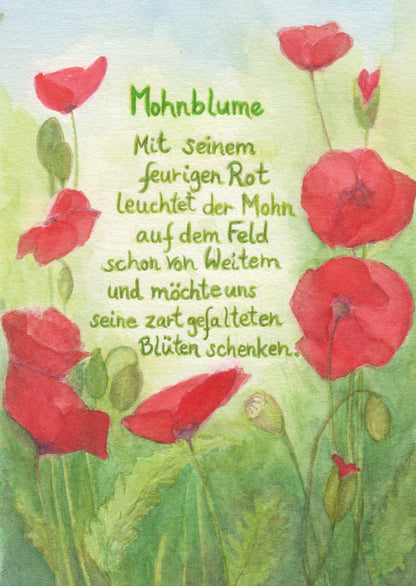 Wildblumen PostkartenSet BilderSchublade - 6 Postkarten Art.PKS32