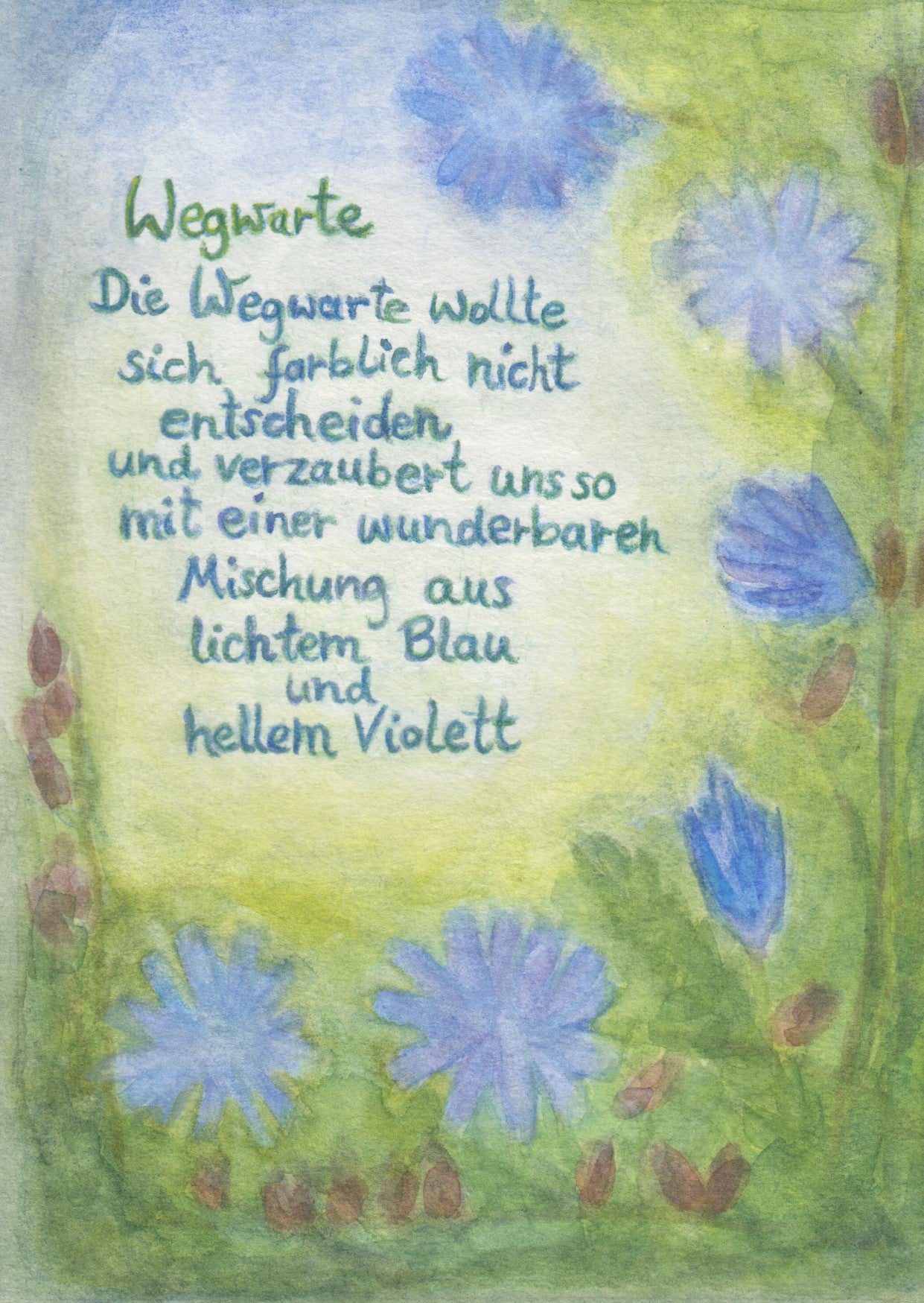 Wildblumen PostkartenSet BilderSchublade - 6 Postkarten Art.PKS32