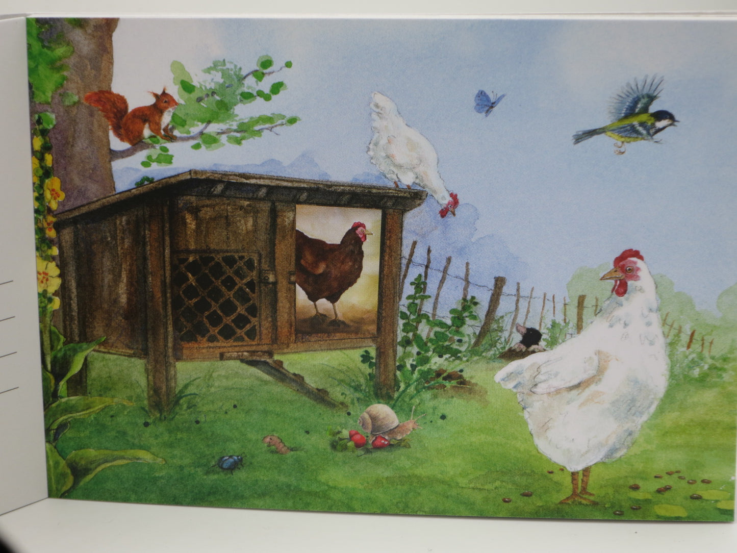 Postkartenbuch »Giesbert und seine Freunde« – 15 Postkarten von Daniela Drescher – PKS36