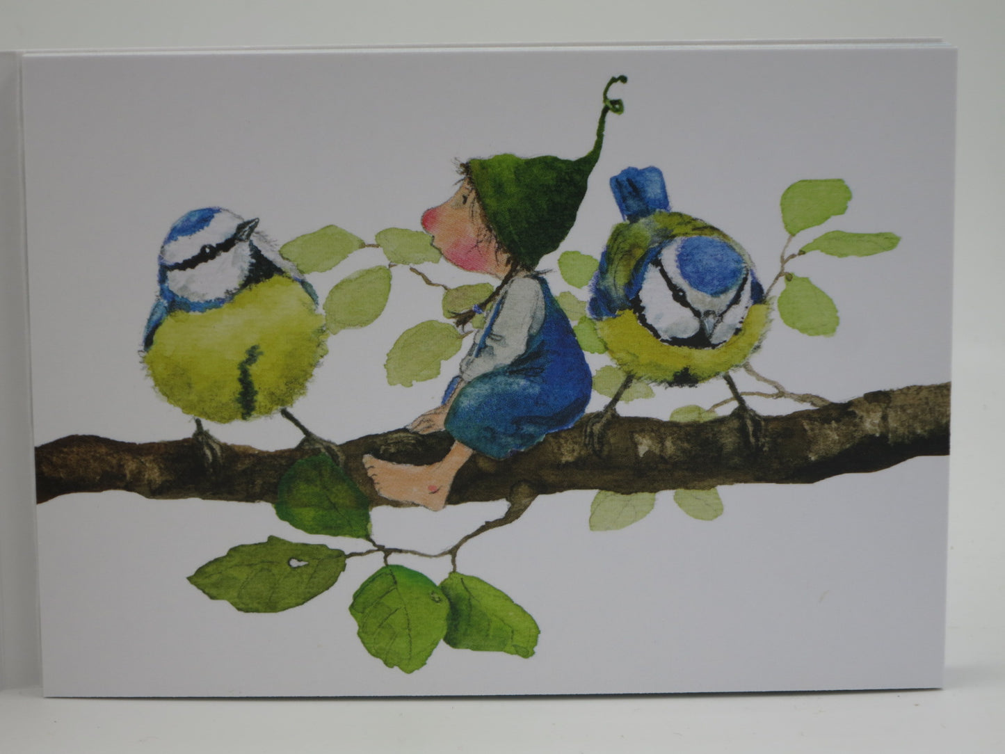Postkartenbuch »Wichtelglück« – 15 Postkarten von Daniela Drescher – PKS35