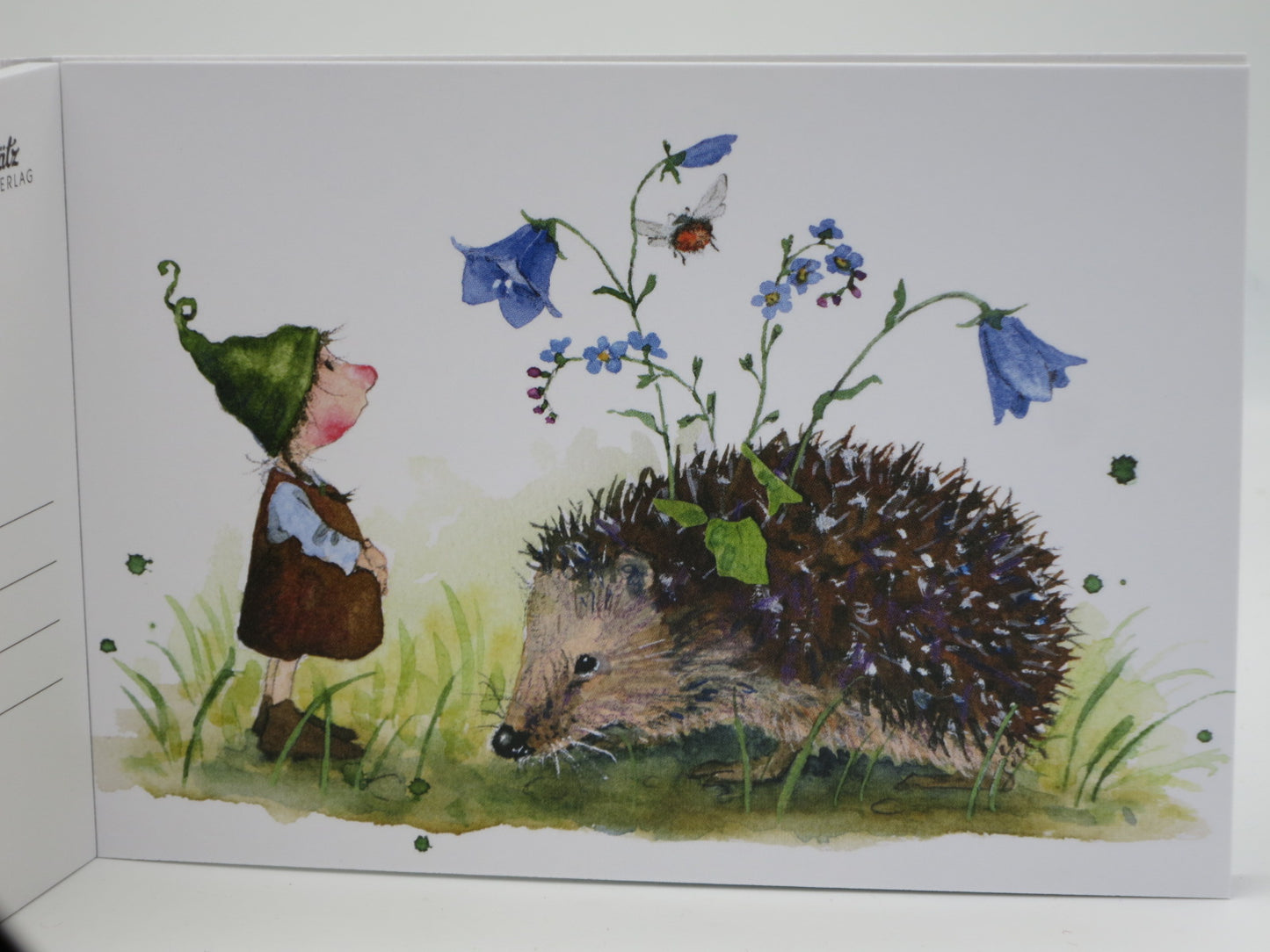 Postkartenbuch »Wichtelglück« – 15 Postkarten von Daniela Drescher – PKS35