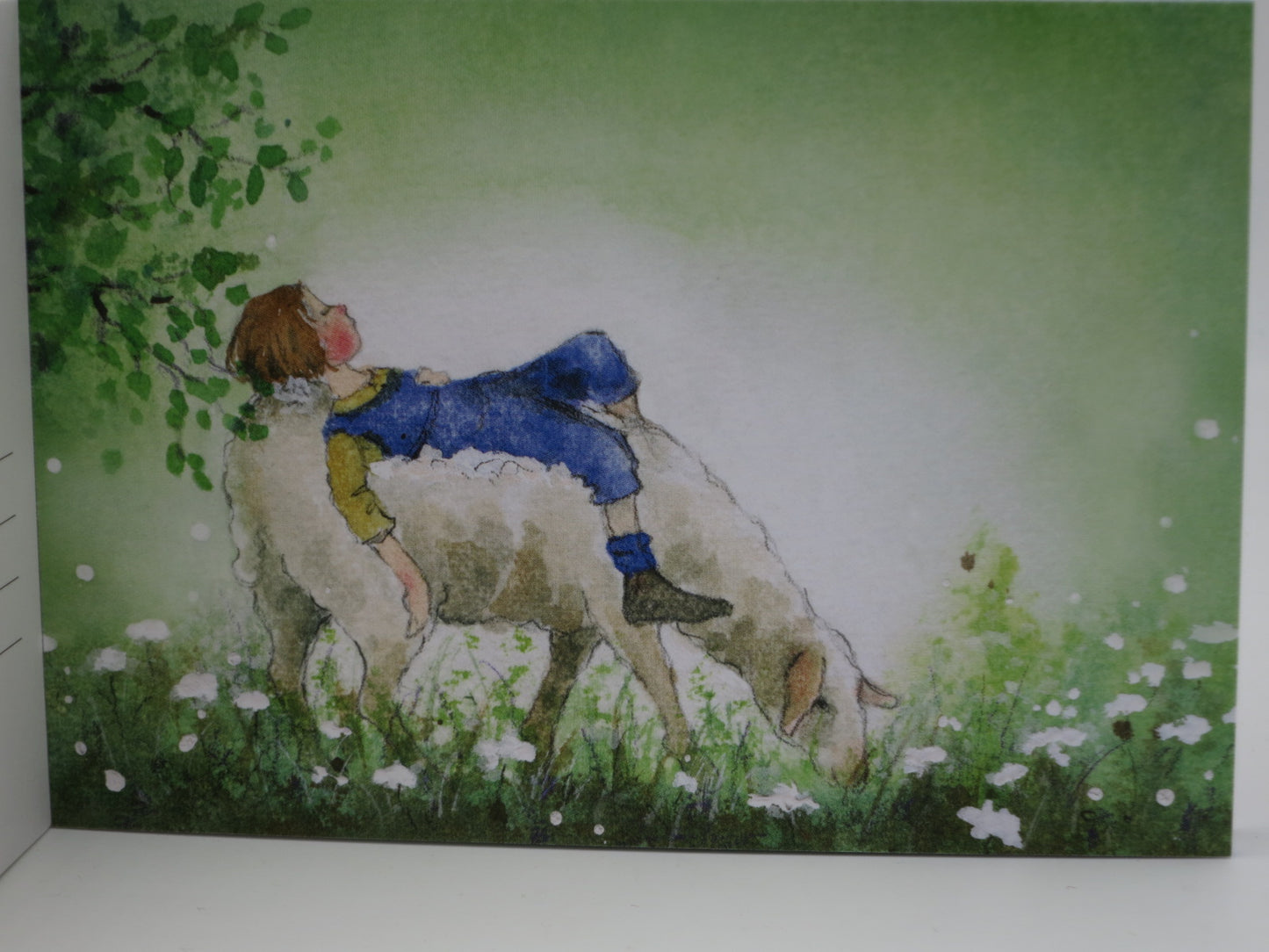 Postkartenbuch »Ich hab Dich gern« – 15 Postkarten von Daniela Drescher – PKS37
