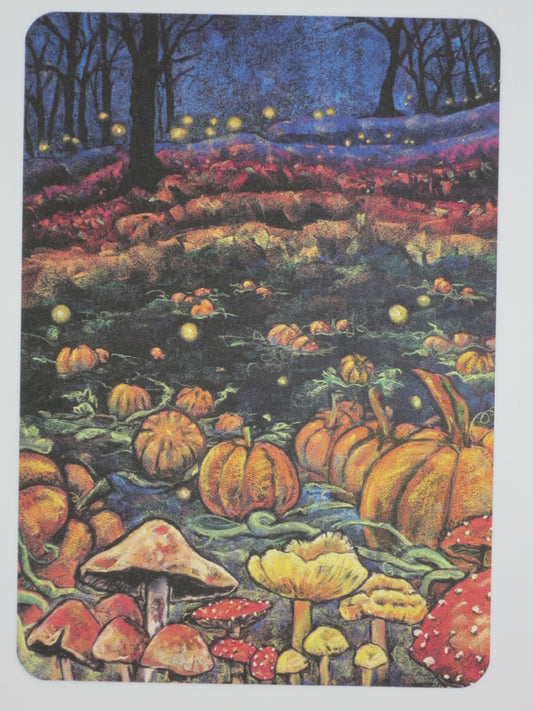 Kürbisfeld- Postkarte - Art.Nr.PKHE58
