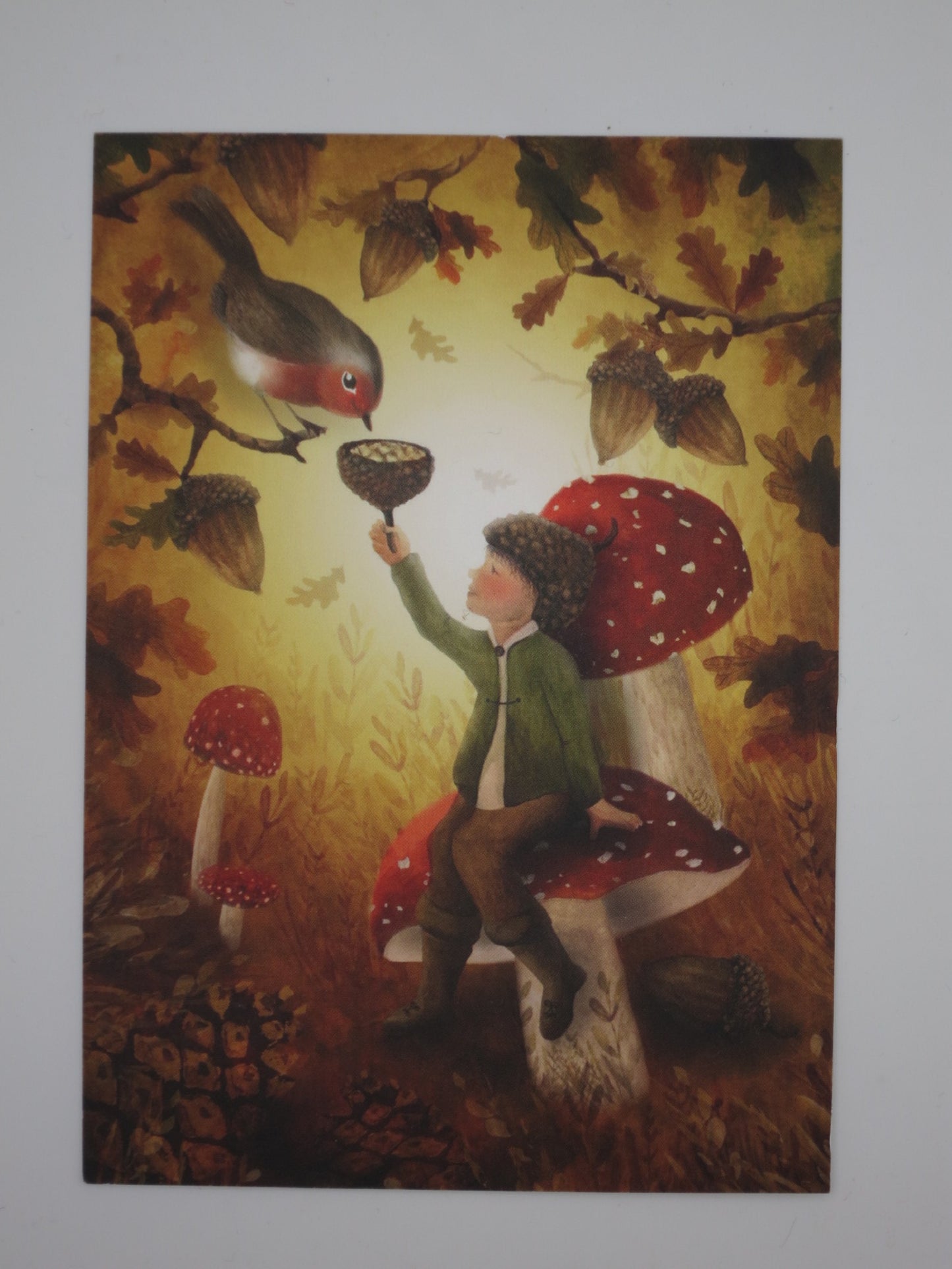 Rotkehlchen und Zwerg - Postkarte - Art. Nr. PKHE138