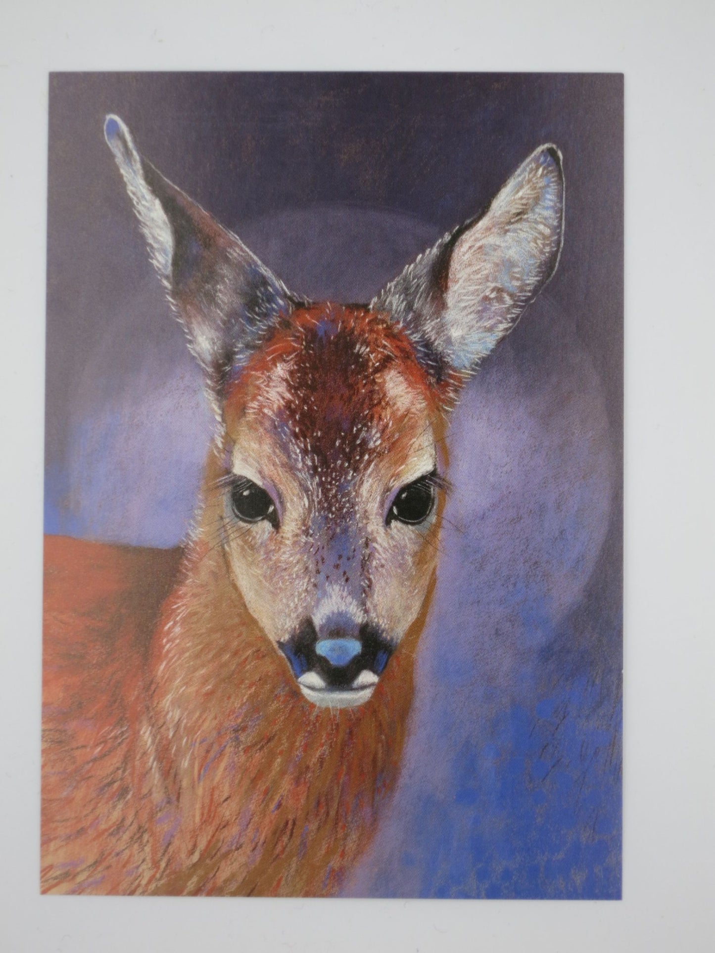 Ruhige Wachsamkeit - Postkarte - Waldorf - Art.Nr.PKFR165