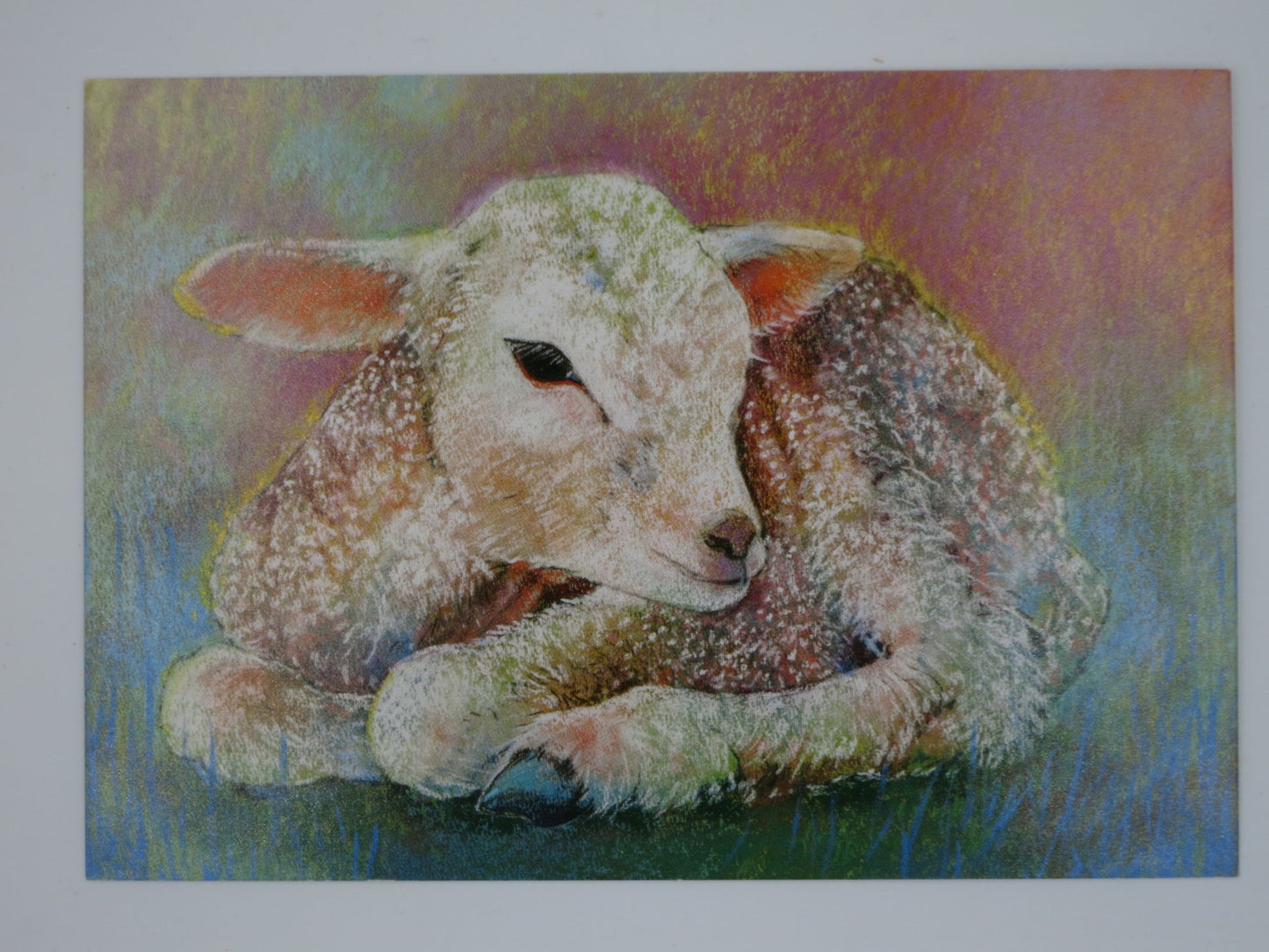 Lamm - Postkarte - Waldorf - Art.Nr.PKFR163